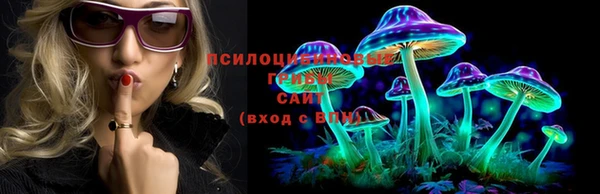 PSILOCYBIN Горнозаводск