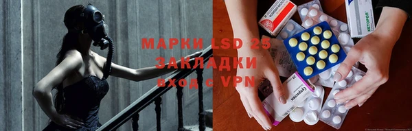 крисы Вязьма