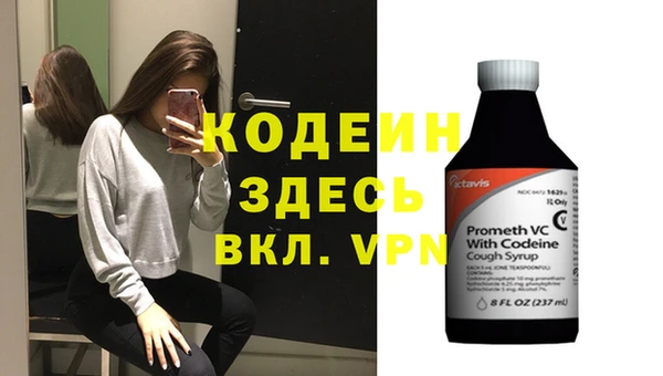 крисы Вязьма