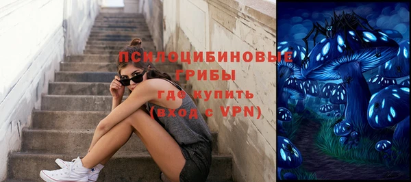 крисы Вязьма