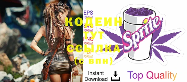 крисы Вязьма
