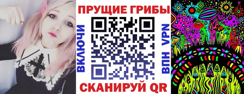 как найти закладки  Куртамыш  Галлюциногенные грибы Psilocybe 